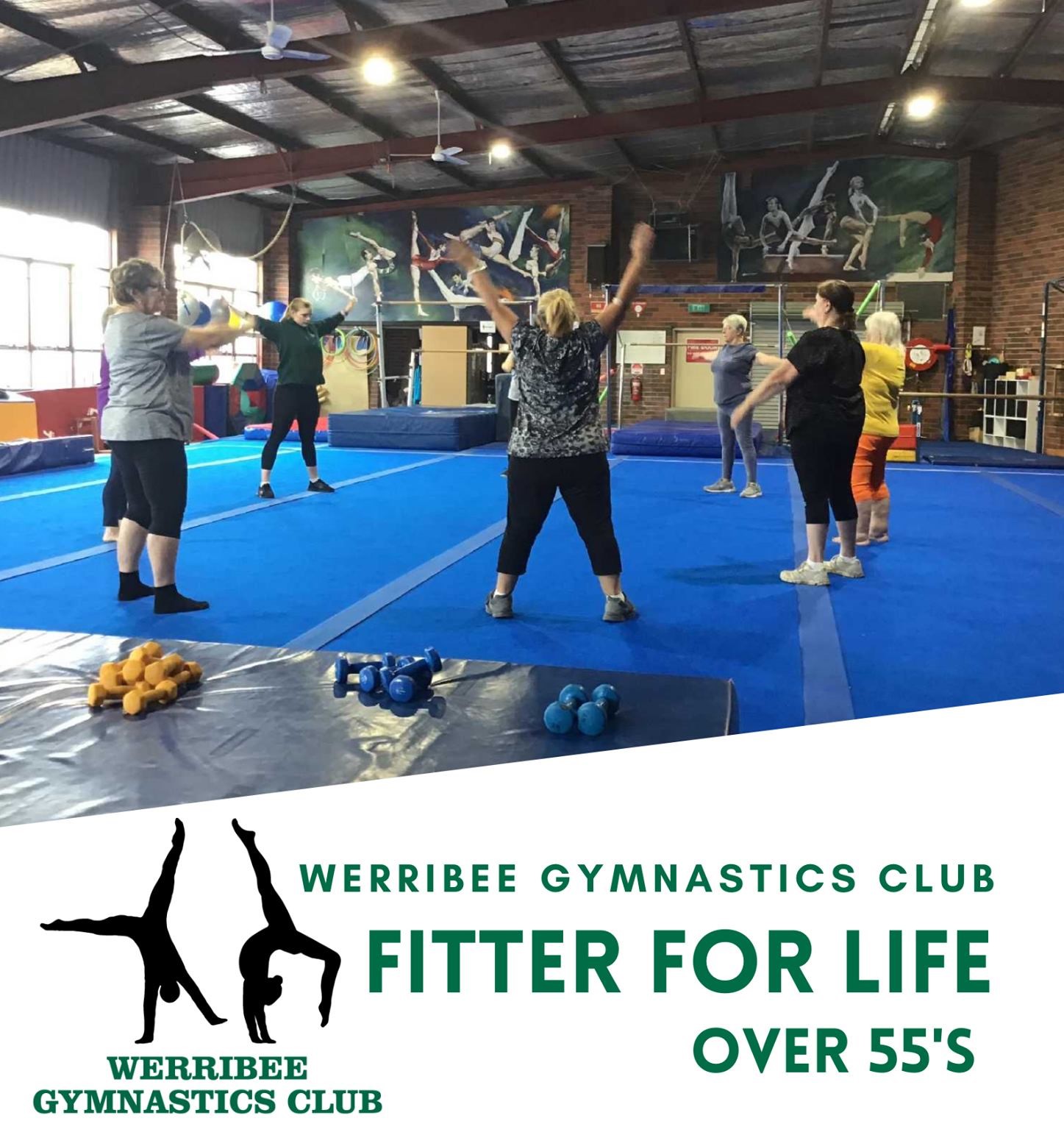 Werribee Gymnastics Club